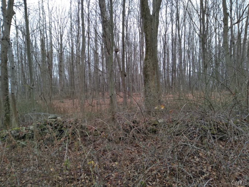 Lot 36 Irwin Road Sterling, NY 13156 - Photo 1 of 1 Gallery Image 1