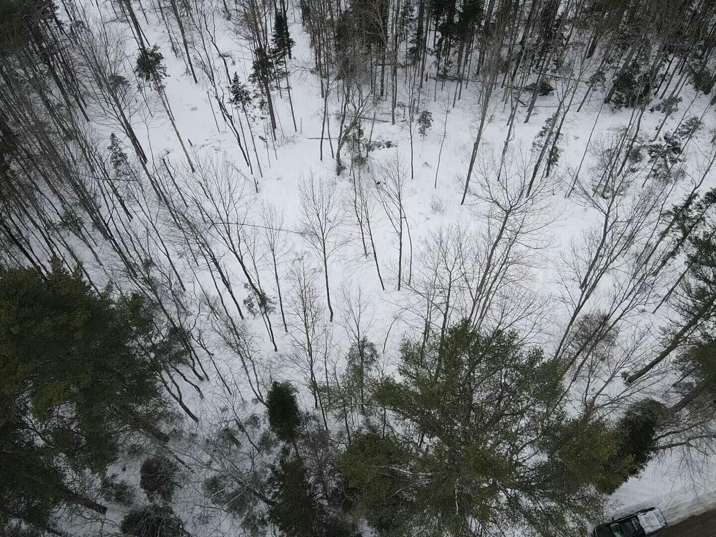 Lot 10 North Road Medford, ME 04463 - Photo 6 of 9 tempImage9UvT4Y