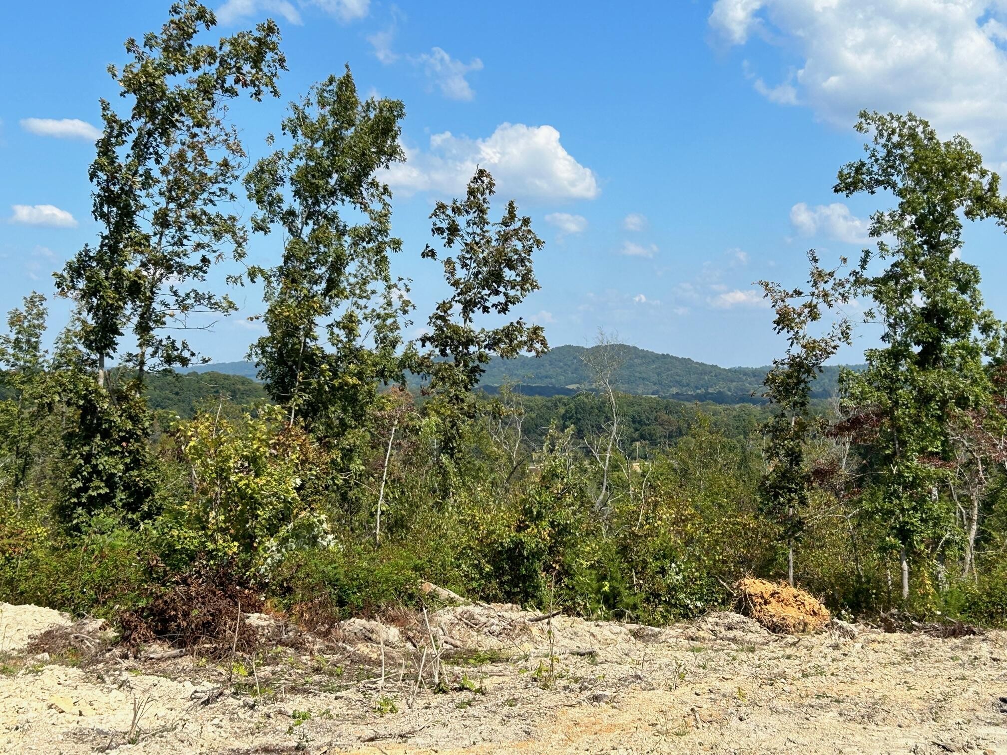 8 Euchee Road Ten Mile, TN 37880 - Photo 18 of 35