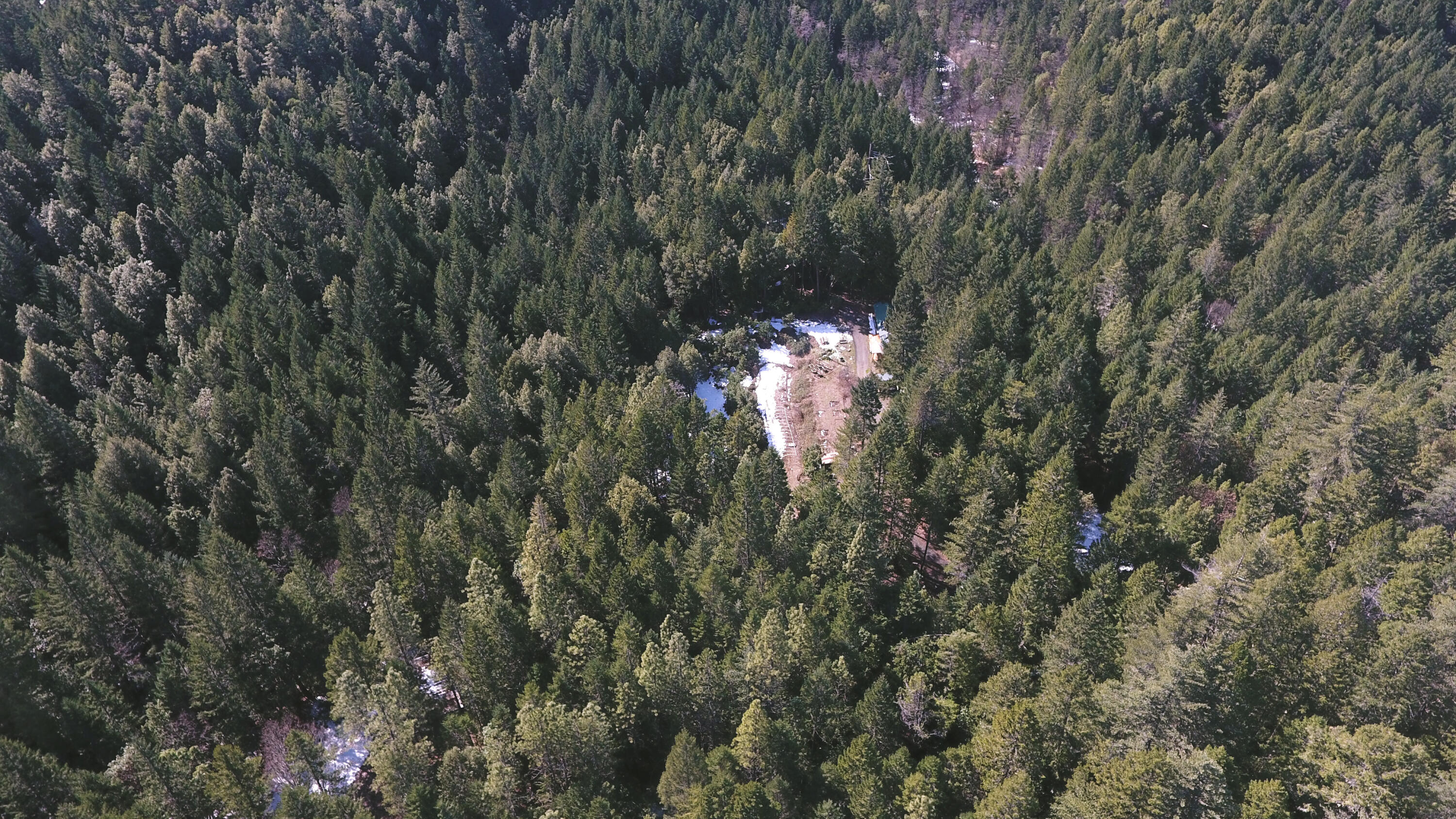 1313 Waldo Road Cave Junction, OR 97523 - Photo 25 of 26 DJI_0001