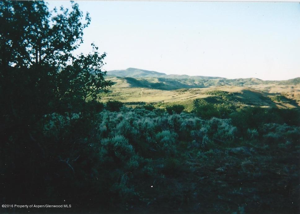 a view of a lake from a yard