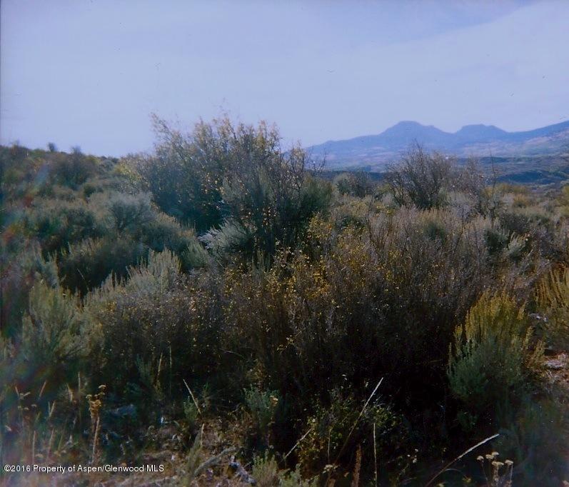 Tbd Tbd Willow View Craig, CO 81625 - Photo 3 of 7 a view of a city with lush green forest