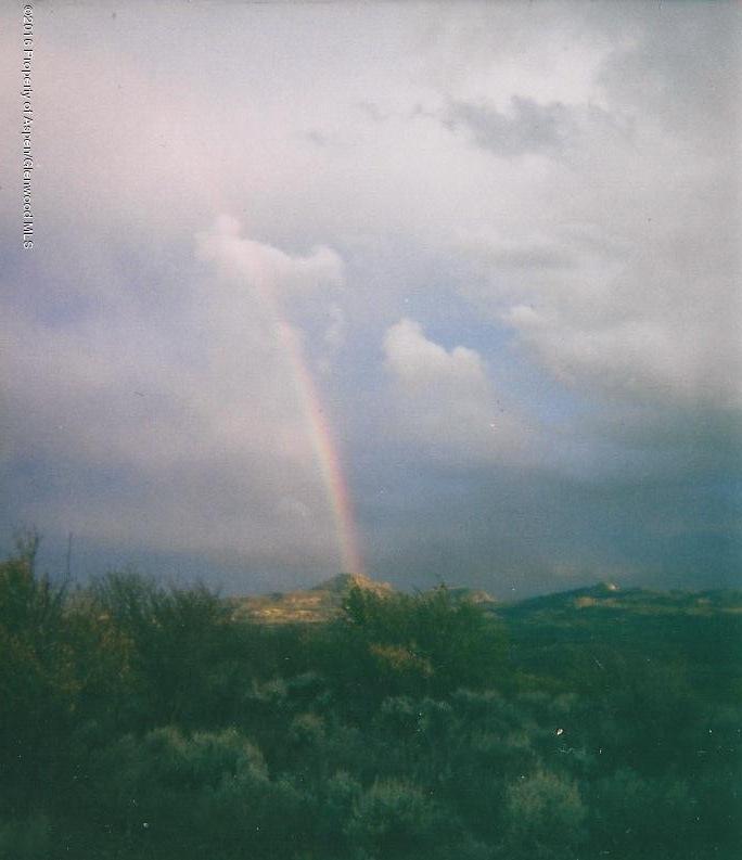Tbd Tbd Willow View Craig, CO 81625 - Photo 7 of 7 a view of a big yard with large trees