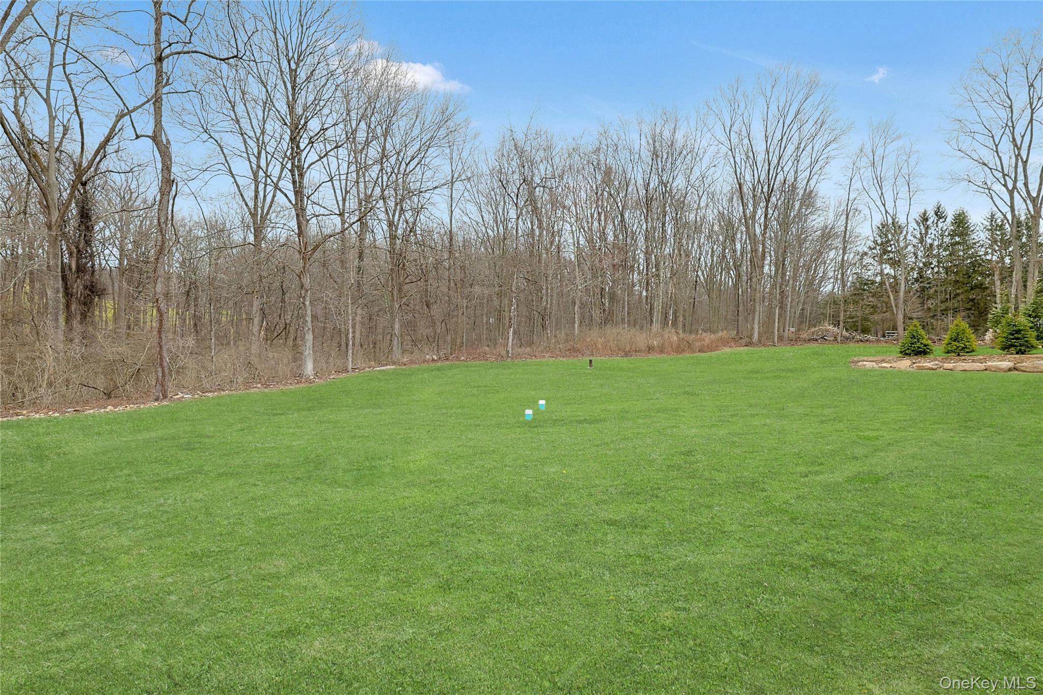 86 Old Byram Lake Road Armonk, NY 10504 - Photo 43 of 44 a backyard of a house with lots of green space
