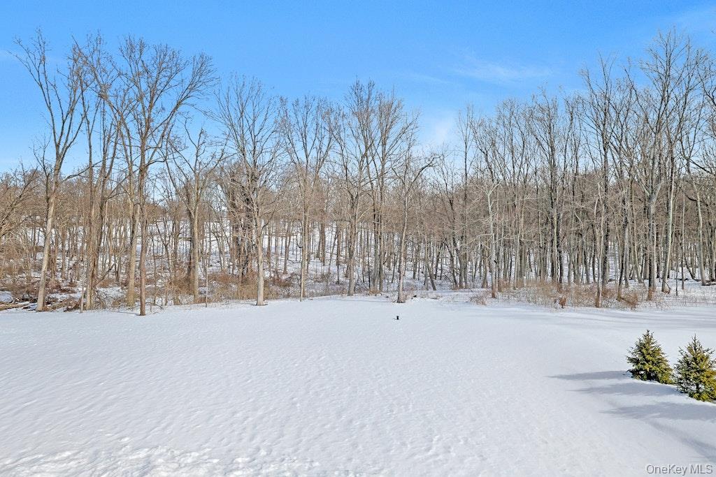 86 Old Byram Lake Road Armonk, NY 10504 - Photo 43 of 44