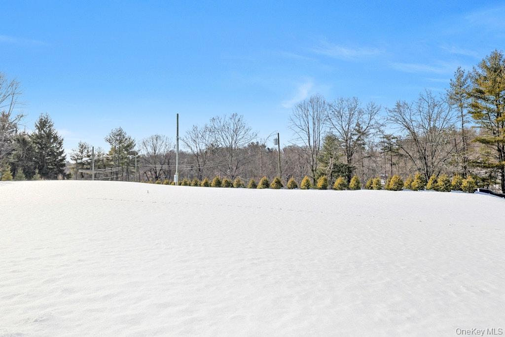 86 Old Byram Lake Road Armonk, NY 10504 - Photo 44 of 44