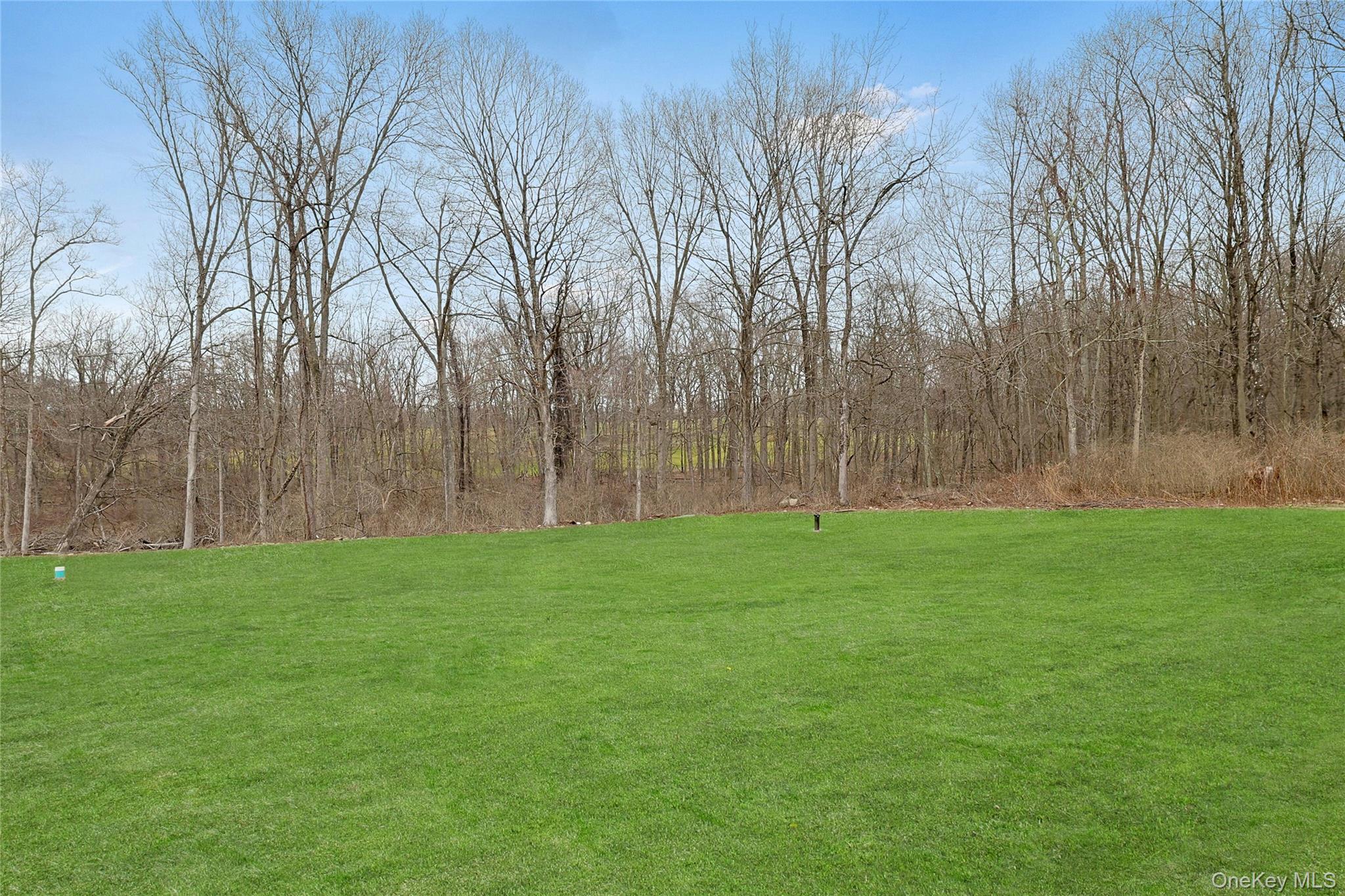 86 Old Byram Lake Road Armonk, NY 10504 - Photo 44 of 44 a view of a yard with a tree