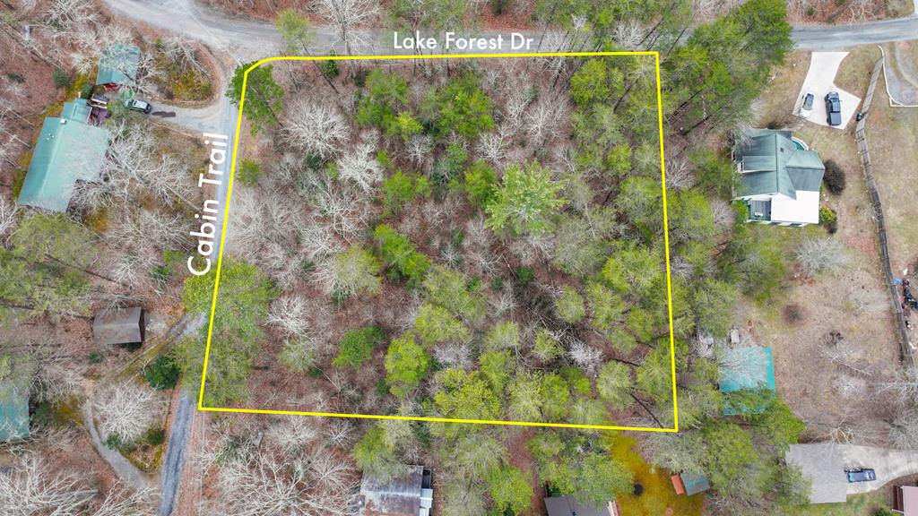 Lot 5 Red Bird Blue Ridge Blue Ridge, GA 30513 - Photo 1 of 16 Main View