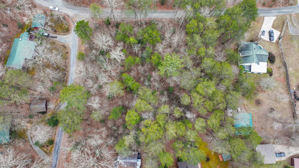 Lot 5 Red Bird Blue Ridge Blue Ridge, GA 30513 - Photo 8 of 16
