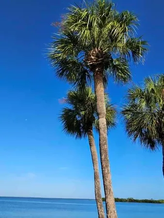 $1,300 | 4851 West Gandy Boulevard, Unit B3L14, Tampa, FL 33611