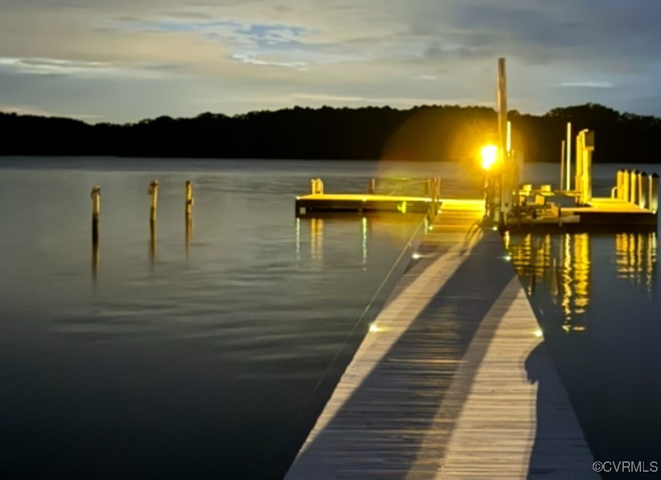 3092 North Riverside Drive Lanexa, VA 23089 - Photo 39 of 50 Lighted dock