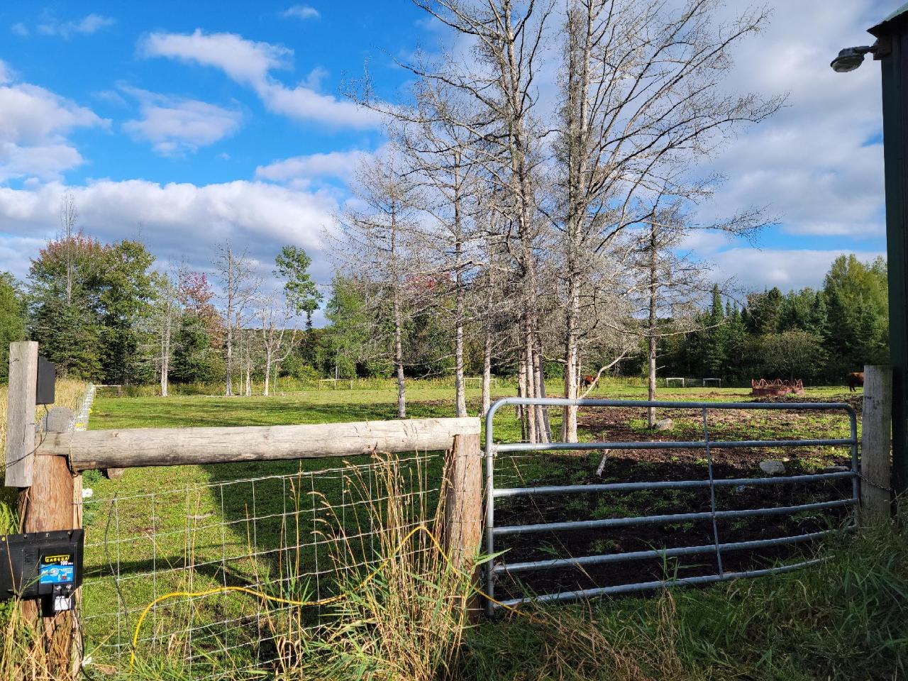 18769 Harvey Hill Road Butternut, WI 54514 - Photo 29 of 52 Gallery Image 29