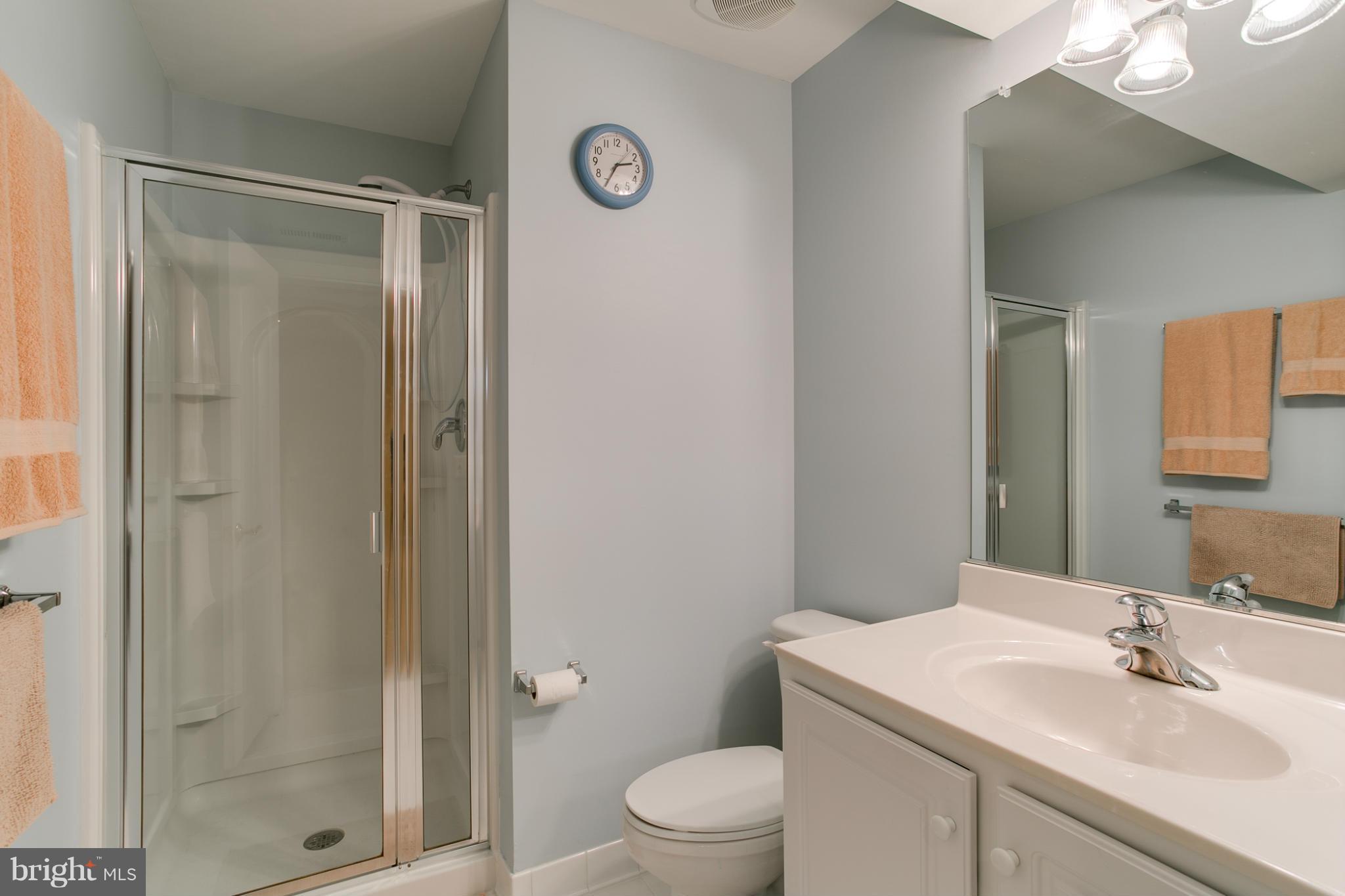 8231 Academy Road, Unit 31 Ellicott City, MD 21043 - Photo 26 of 30 Bath