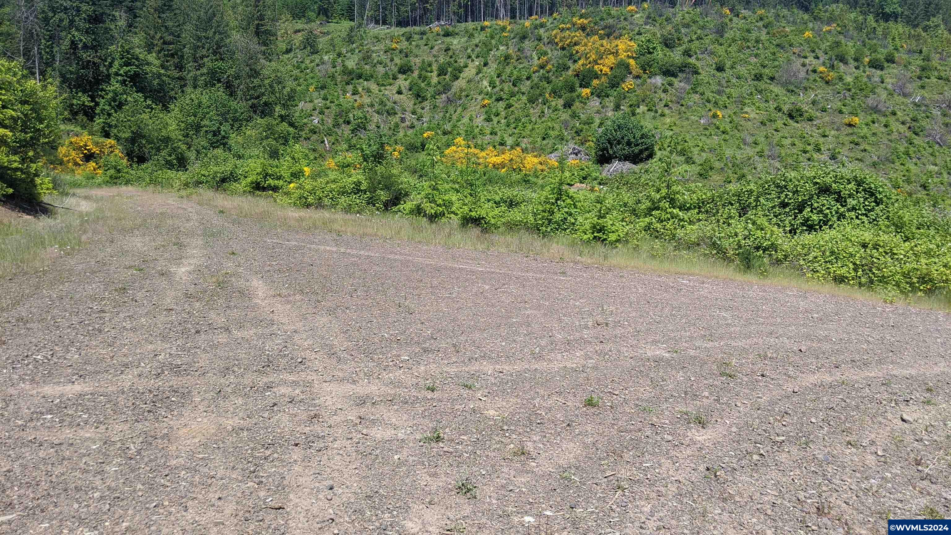 Northwest Timmerman Road Forest Grove, OR 97116 - Photo 7 of 12