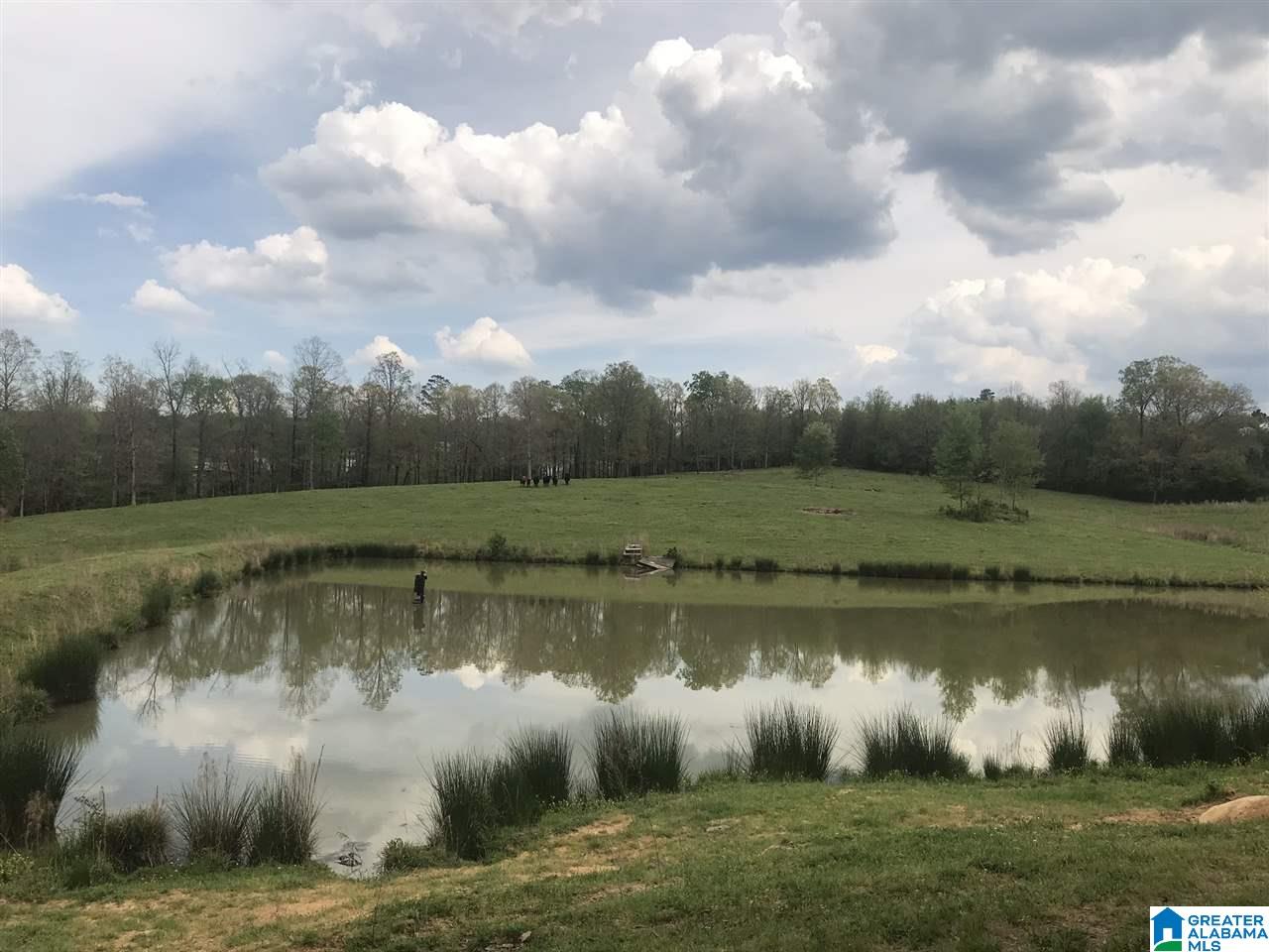 1241 Reneau Road Oneonta, AL 35121 - Photo 8 of 50