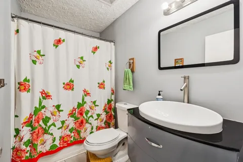 a bathroom with a sink a toilet and a shower curtain