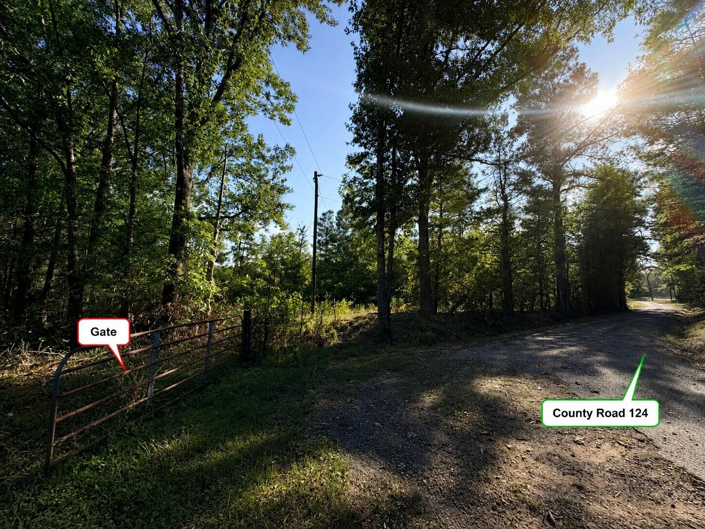 124 County Road Walnut, MS 38683 - Photo 4 of 16 Gallery Image 4