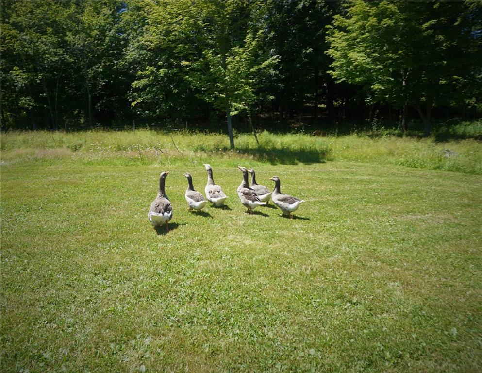 573 Pinkham Brook Road Durham, ME 04222 - Photo 11 of 35 Photo