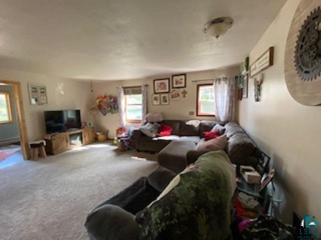 7604 Kemppainen Road Embarrass, MN 55732 - Photo 19 of 40