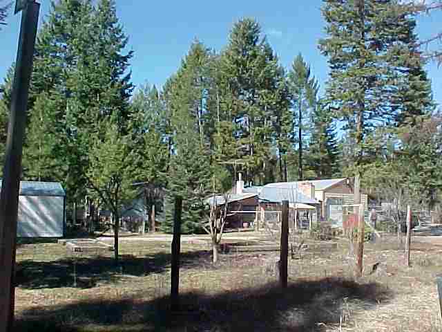 3842 White Pine Road Loon Lake, WA 99148 - Photo 8 of 9 Gallery Image 8