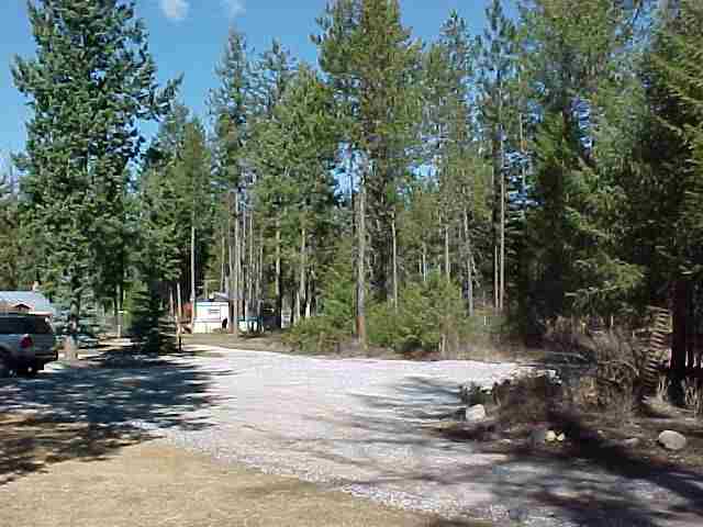 3842 White Pine Road Loon Lake, WA 99148 - Photo 9 of 9 Gallery Image 9
