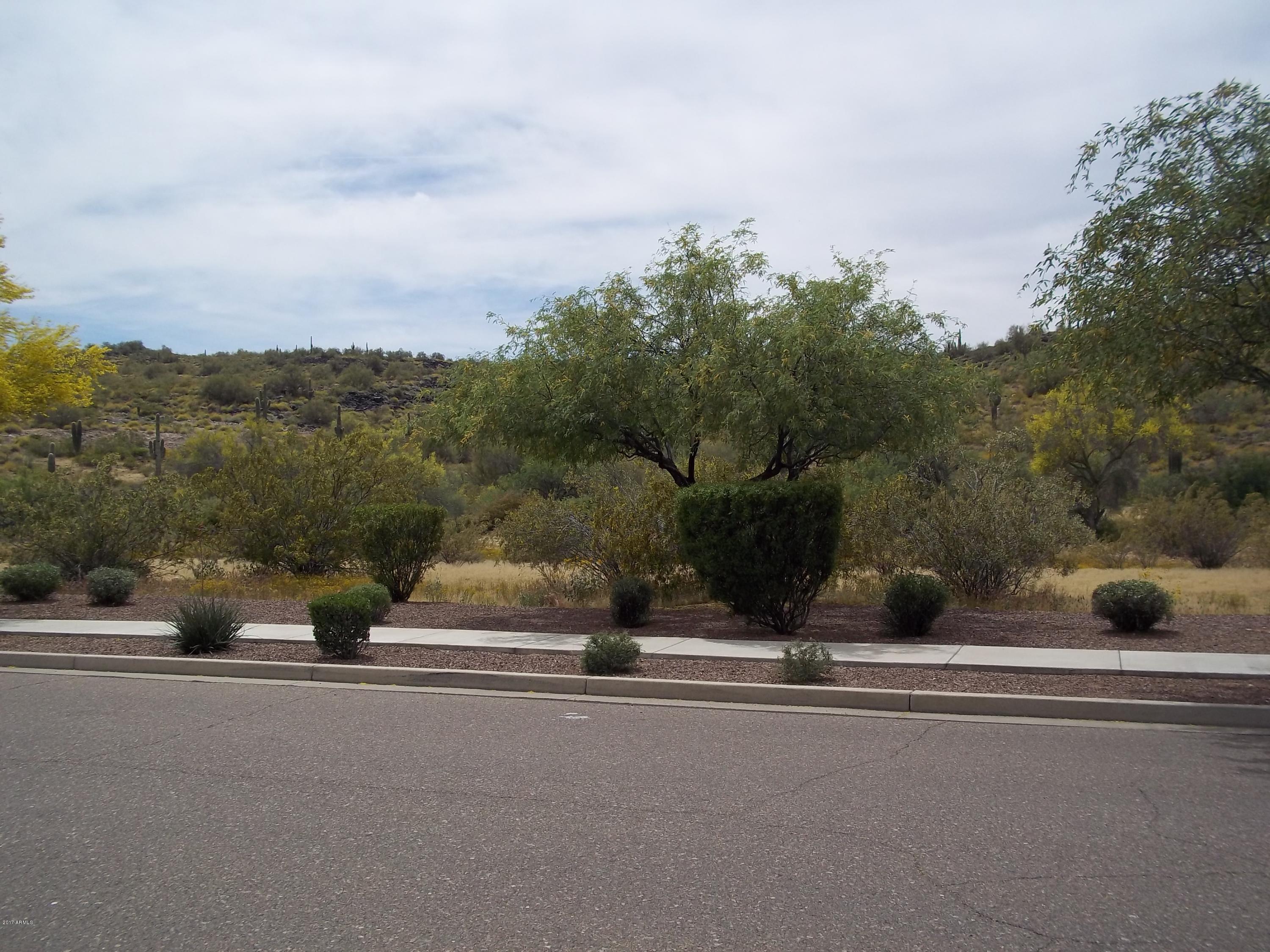 3632 West Riordan Ranch Road Phoenix, AZ 85083 - Photo 11 of 71 101_1559
