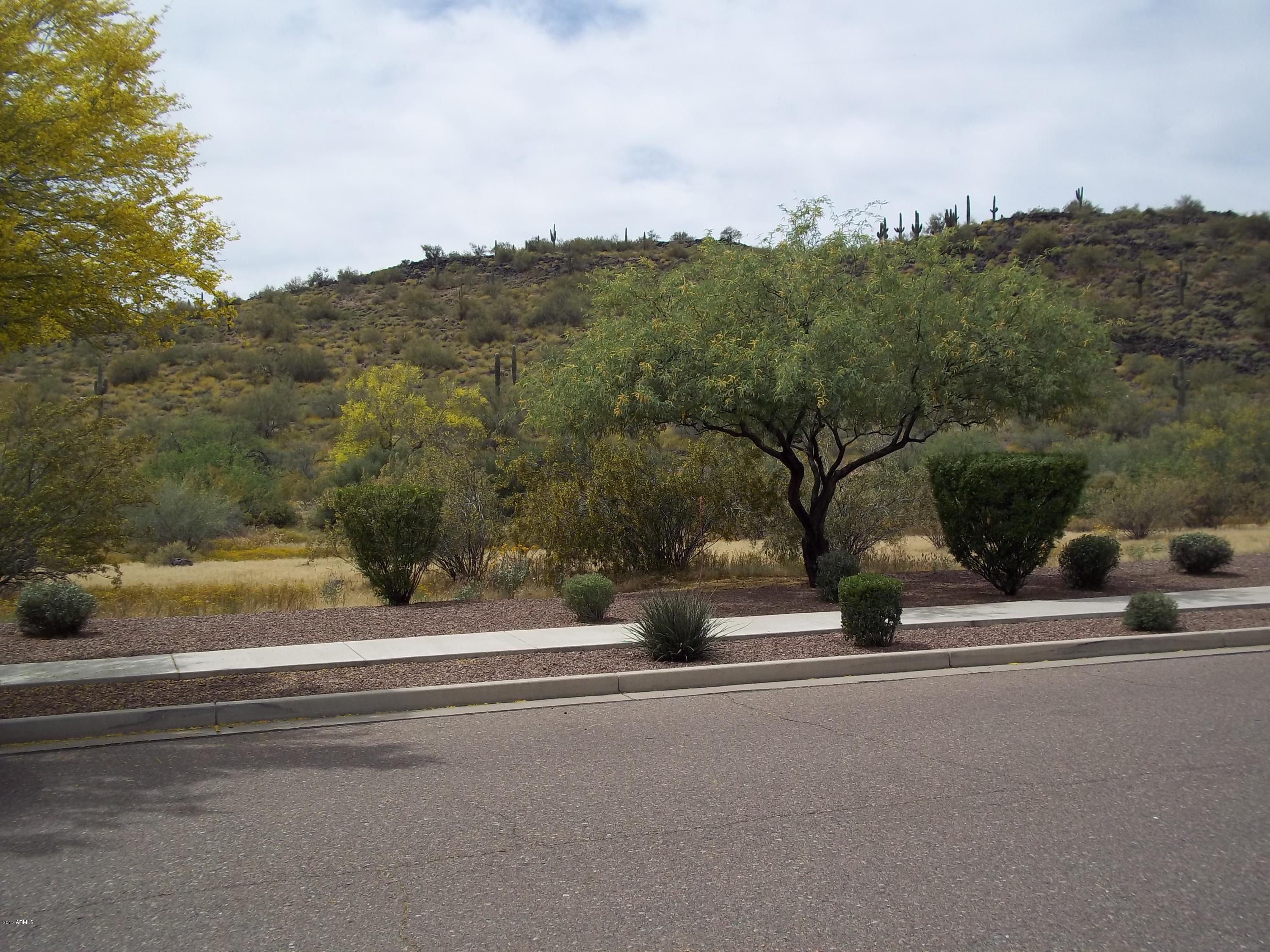 3632 West Riordan Ranch Road Phoenix, AZ 85083 - Photo 12 of 71 101_1560