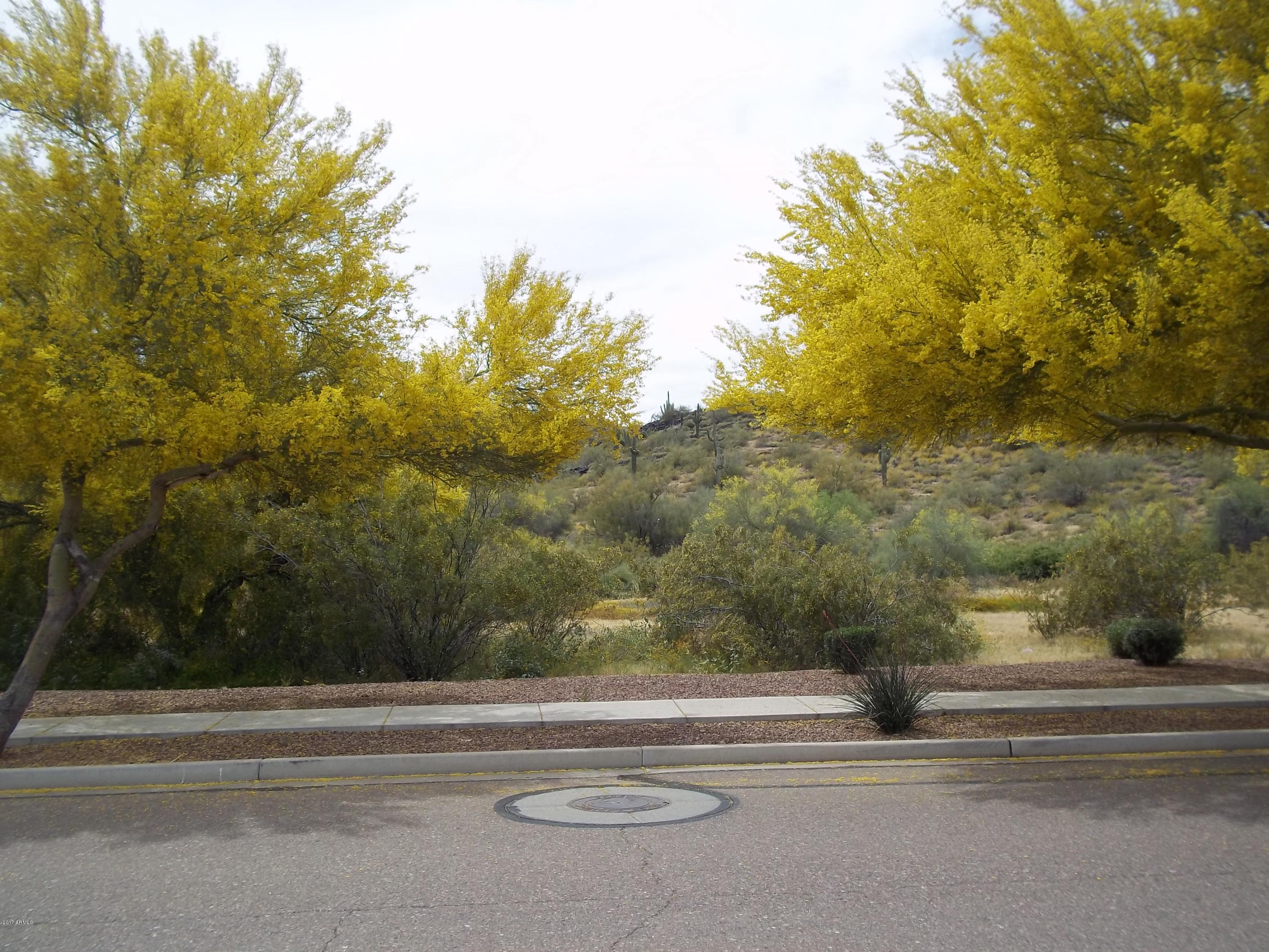 3632 West Riordan Ranch Road Phoenix, AZ 85083 - Photo 13 of 71 101_1561