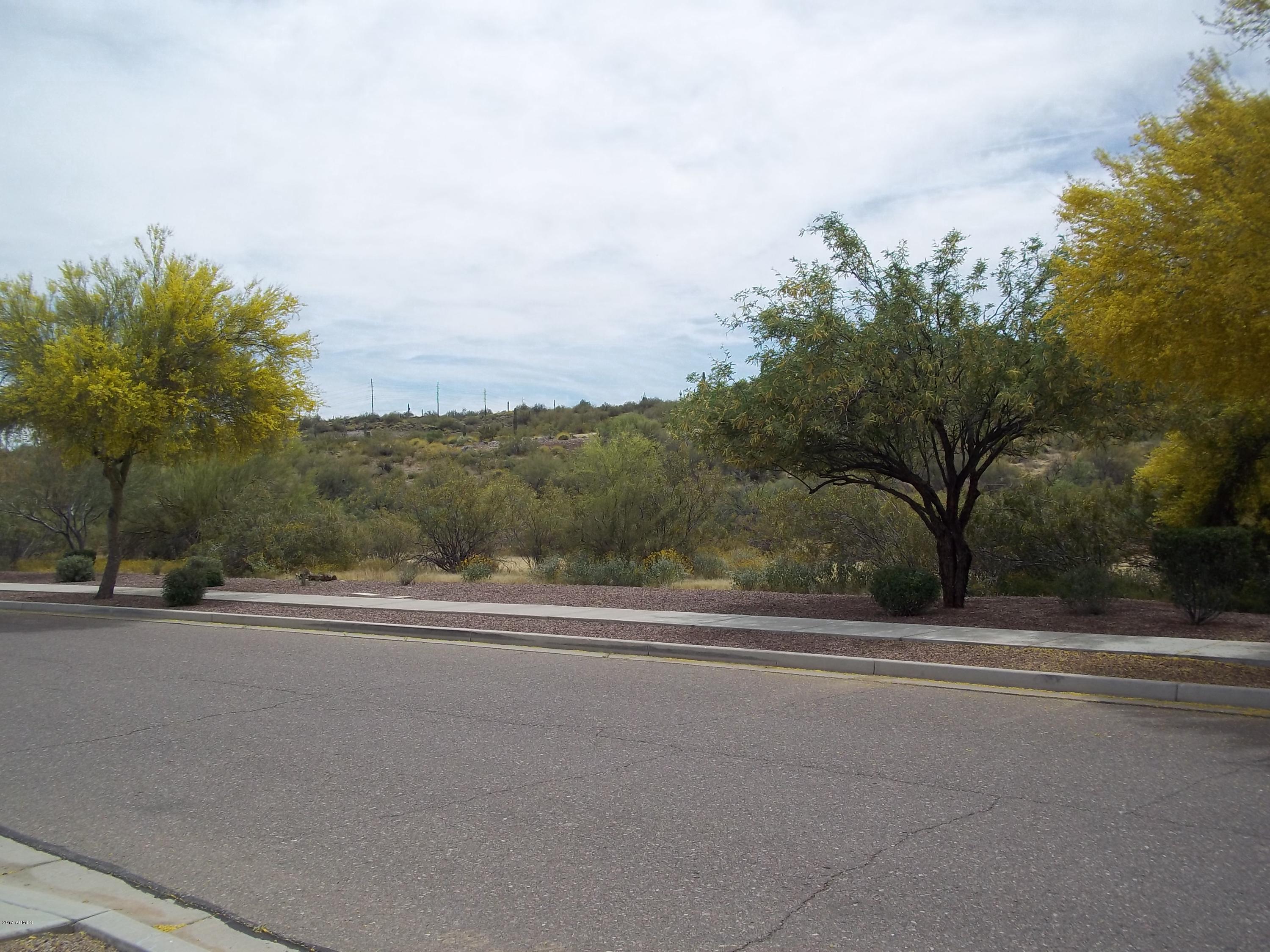 3632 West Riordan Ranch Road Phoenix, AZ 85083 - Photo 16 of 71 101_1562
