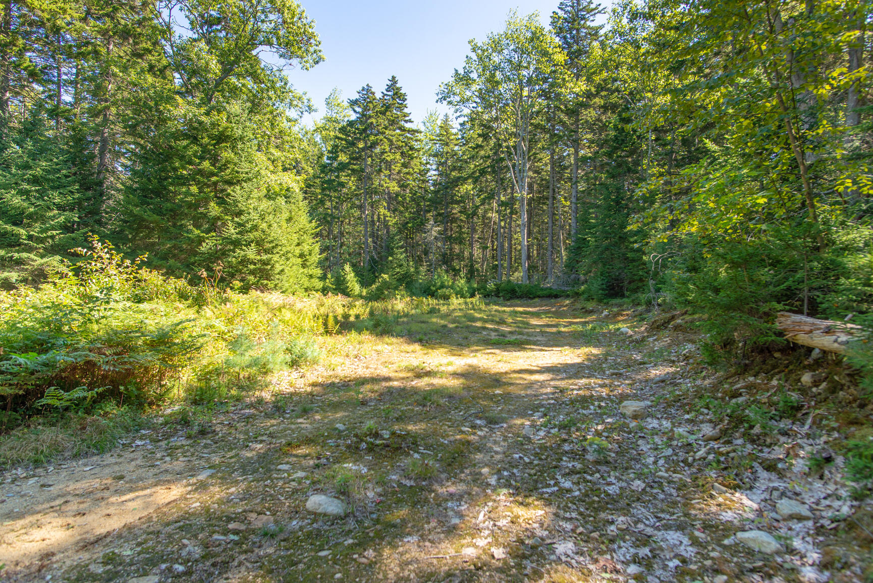 Lot 26 B North Road Chebeague Island, ME 04017 - Photo 4 of 11 untitled-4