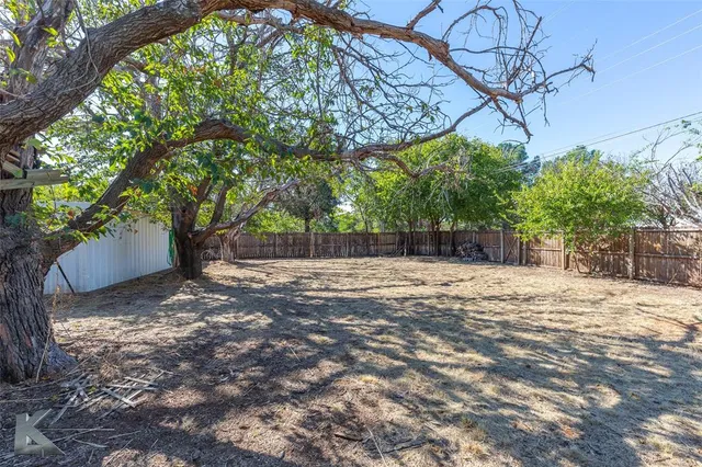 a view of a yard with plants and trees