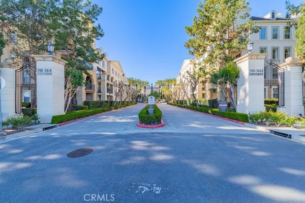 a view of a street with a large trees