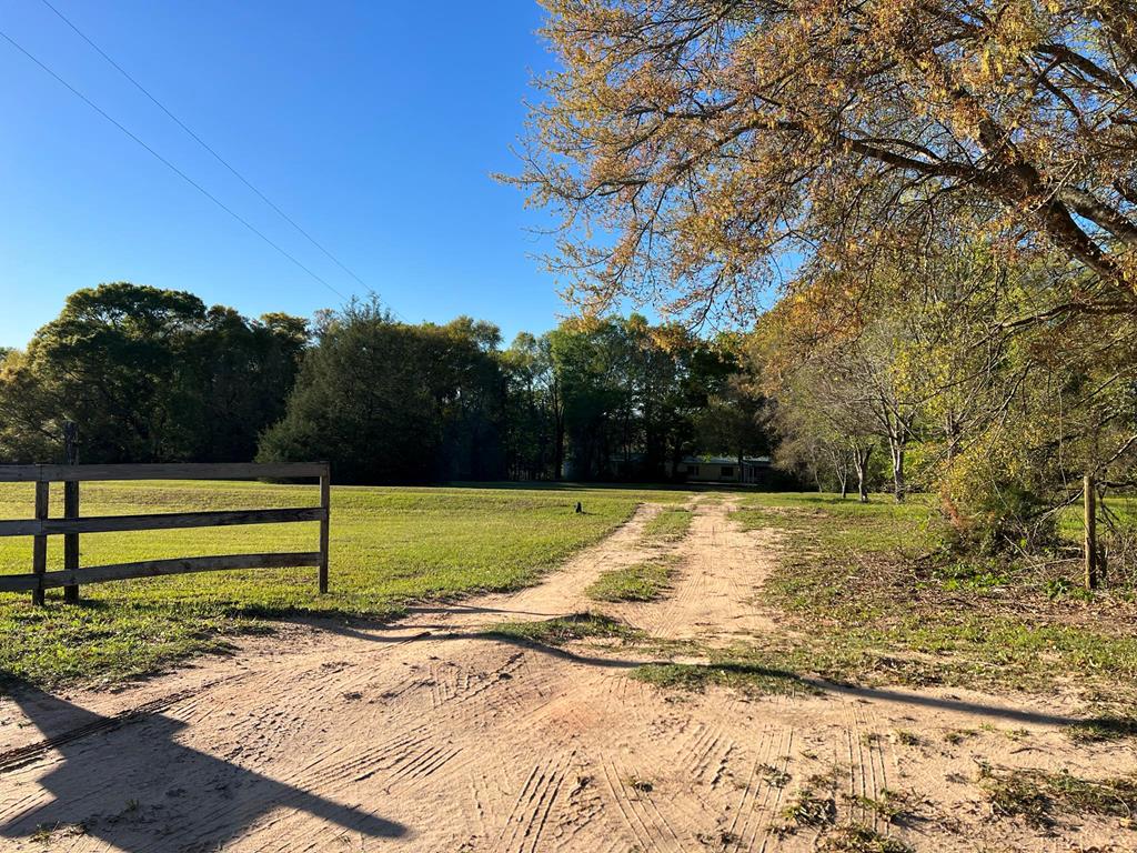 985 Hoganville Road Geneva, AL 36340 - Photo 2 of 31