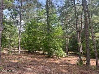 $379,000 | 297 Cristy's Circle, West End, NC 27376