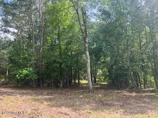 $379,000 | 297 Cristy's Circle, West End, NC 27376