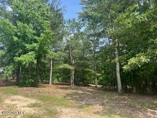 $379,000 | 297 Cristy's Circle, West End, NC 27376