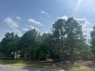 $379,000 | 297 Cristy's Circle, West End, NC 27376