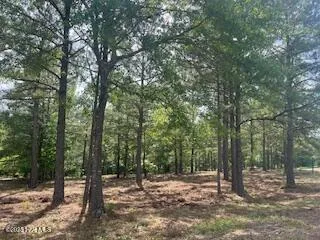 $379,000 | 297 Cristy's Circle, West End, NC 27376