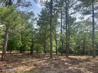 $379,000 | 297 Cristy's Circle, West End, NC 27376