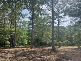 $379,000 | 297 Cristy's Circle, West End, NC 27376