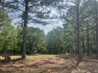 $379,000 | 297 Cristy's Circle, West End, NC 27376