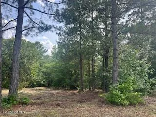 $379,000 | 297 Cristy's Circle, West End, NC 27376