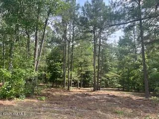 $379,000 | 297 Cristy's Circle, West End, NC 27376