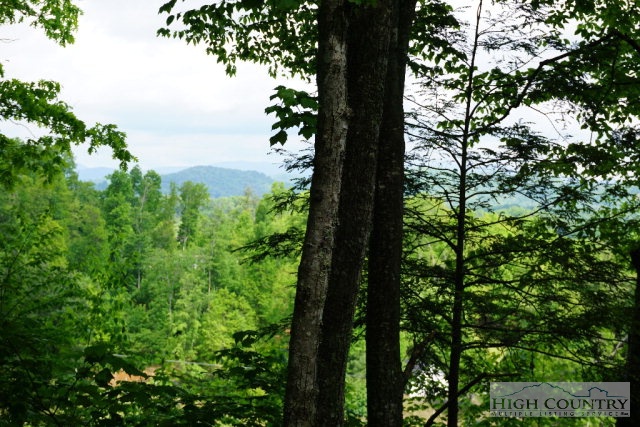 473 Lyalls Acres Road Lansing, NC 28643 - Photo 10 of 18