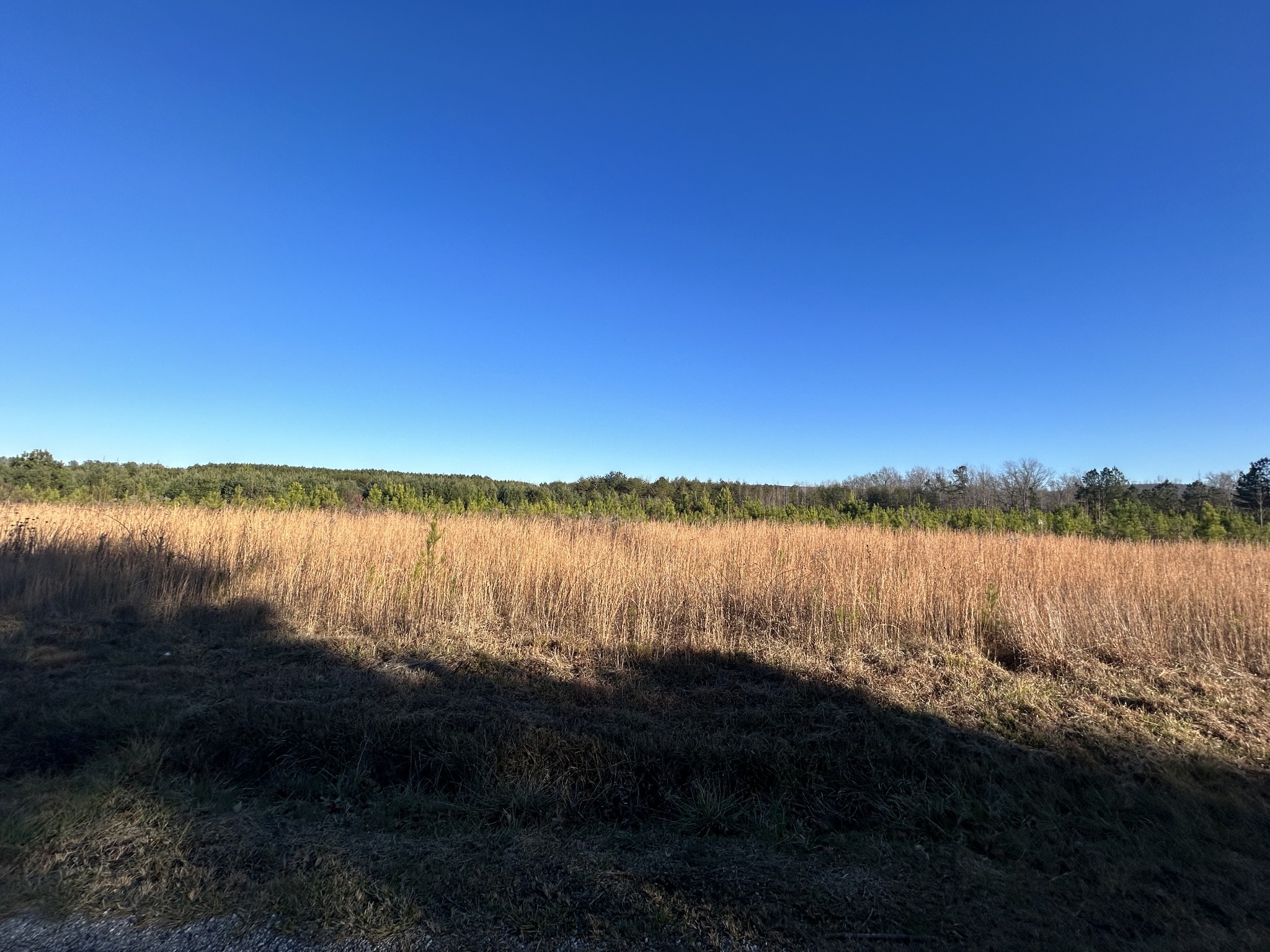 3271 Hickerson Road Manchester, TN 37355 - Photo 3 of 9 a view of a lake from a yard