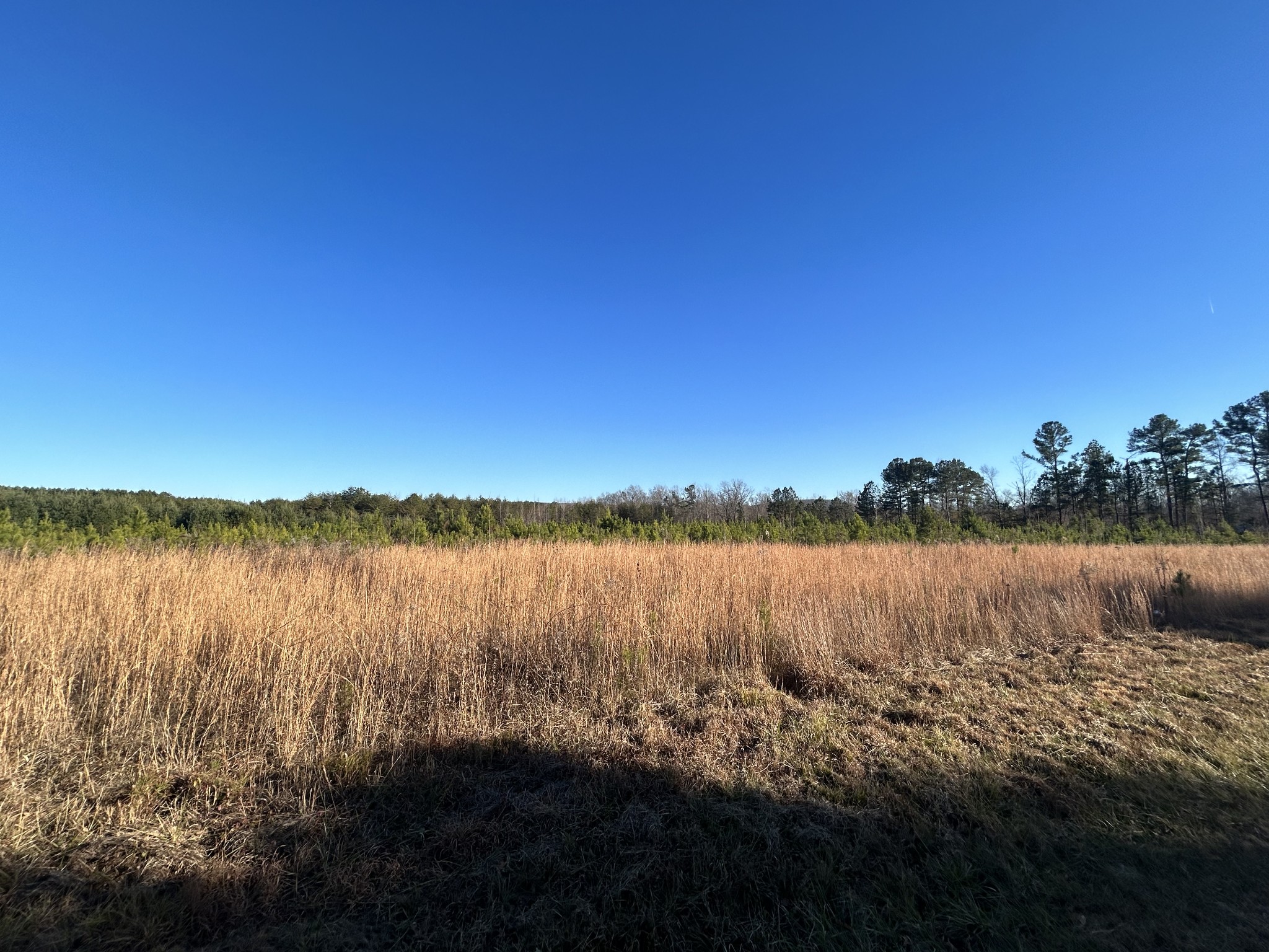 3271 Hickerson Road Manchester, TN 37355 - Photo 5 of 9 a view of lake