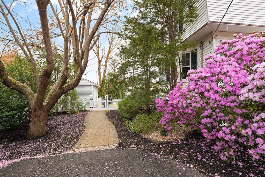 29 Station Street Sharon, MA 02067 - Photo 3 of 42 a view of a pathway covered with flower plants