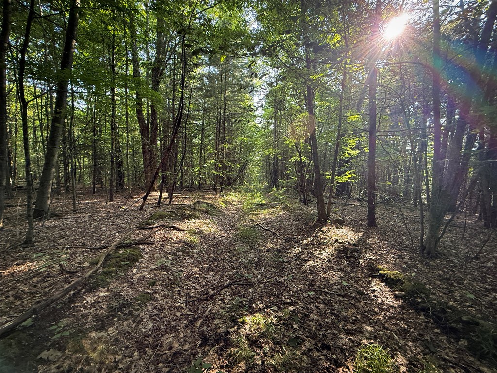 Wright Road Candor, NY 13743 - Photo 14 of 33 Gallery Image 14