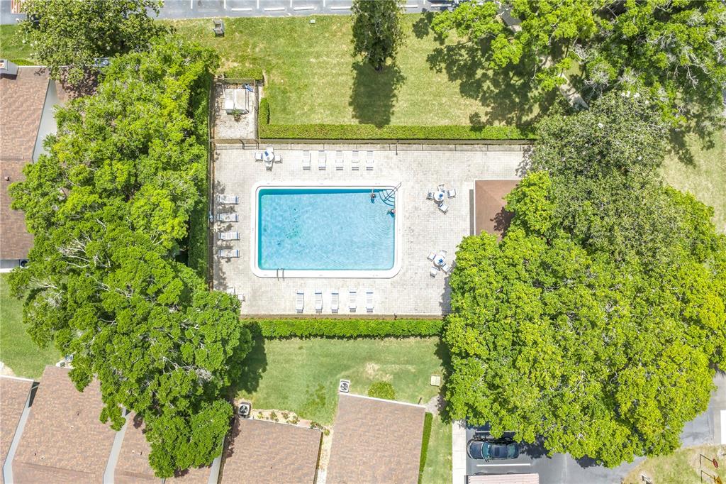3600 Magnolia Ridge Circle, Unit 1224 Palm Harbor, FL 34684 - Photo 18 of 20