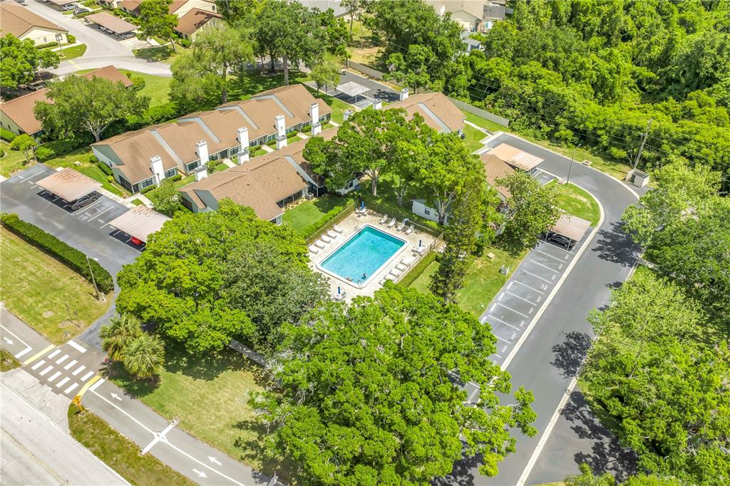 3600 Magnolia Ridge Circle, Unit 1224 Palm Harbor, FL 34684 - Photo 20 of 20